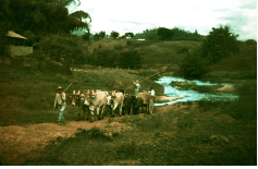 Veja Fotos do Arquivo pessoal de MARCUS CREMONESE